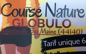 Commission GLOBULO 2026